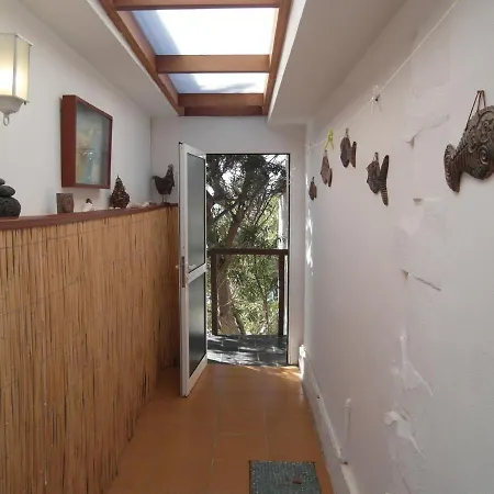 Apartman La Pardela Oceanfront Los Realejos