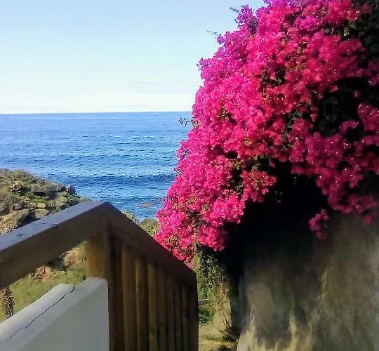 La Pardela Oceanfront Apartment Los Realejos