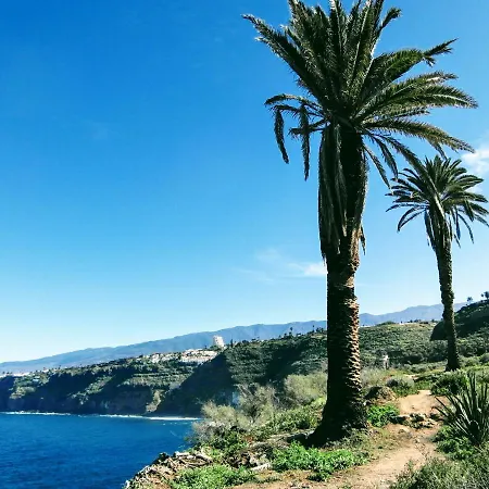 La Pardela Oceanfront Διαμέρισμα *