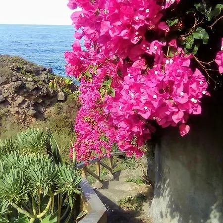 La Pardela Oceanfront Διαμέρισμα *